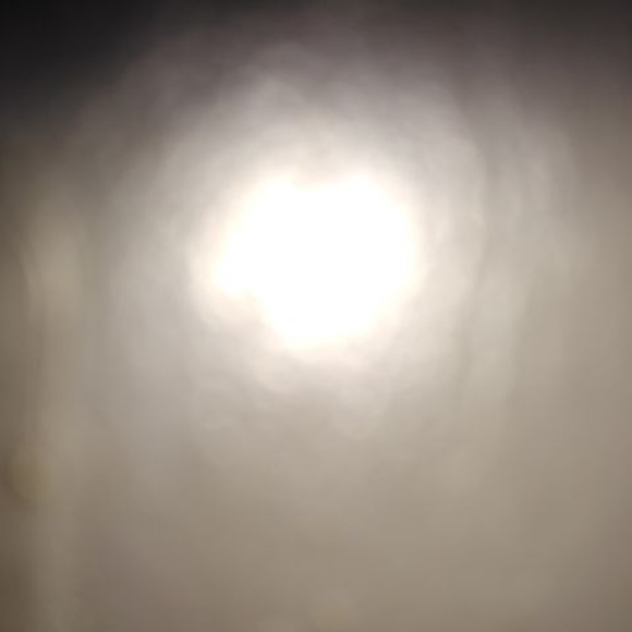 Meet your Posher, Kyle - Picture 1 of 1